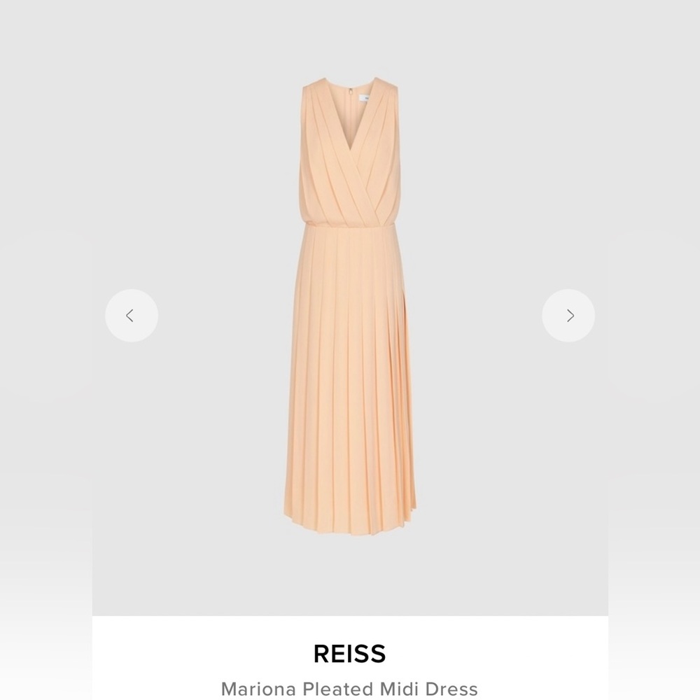 NWT Reiss Mariona Pleated Dress (Nude) (Size 4)